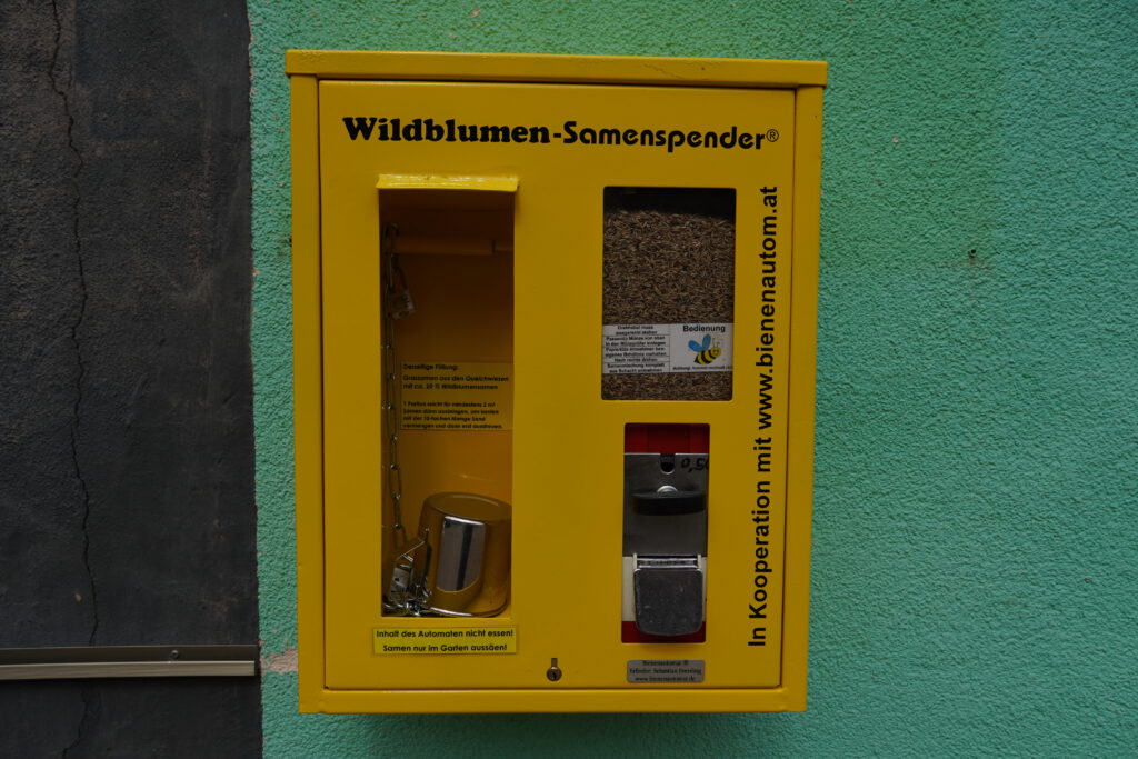 Wildblumen-Samenspender in Ottersheim